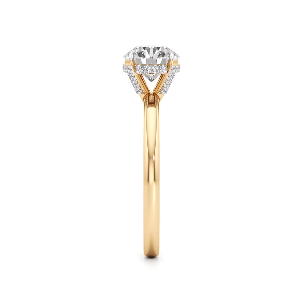 Elevated Diamond  Set Solitaire Ring