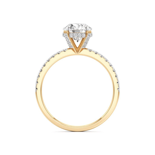 Round Solitaire with Double EncTitlerusted Ring
