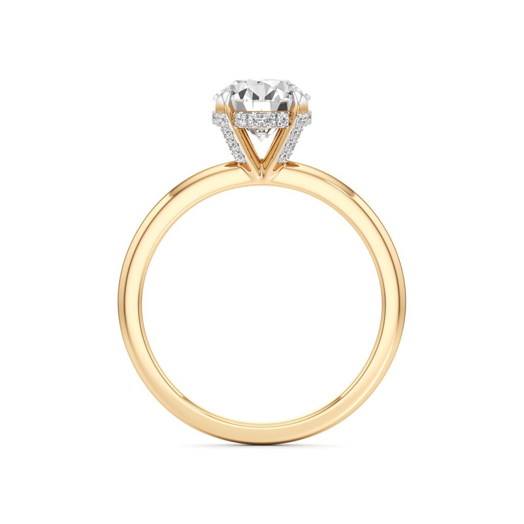 Elevated Diamond  Set Solitaire Ring