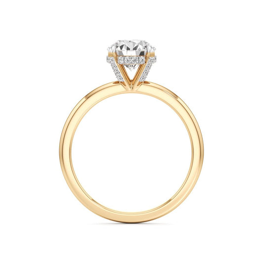 Elevated Diamond  Set Solitaire Ring
